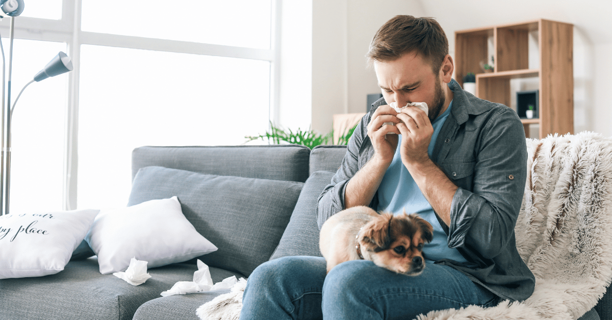 Best Air Purifier For Pet Dander And Dust - Easily Improve Your Home's Air Quality