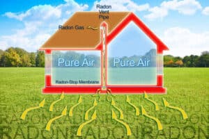 How to Improve Air Quality in Your Home (1)