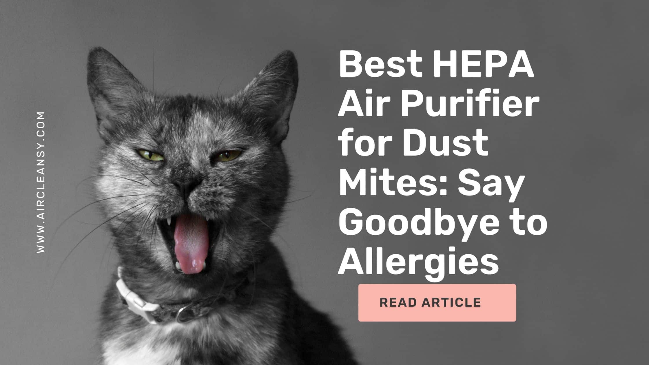 Best HEPA Air Purifier for Dust Mites