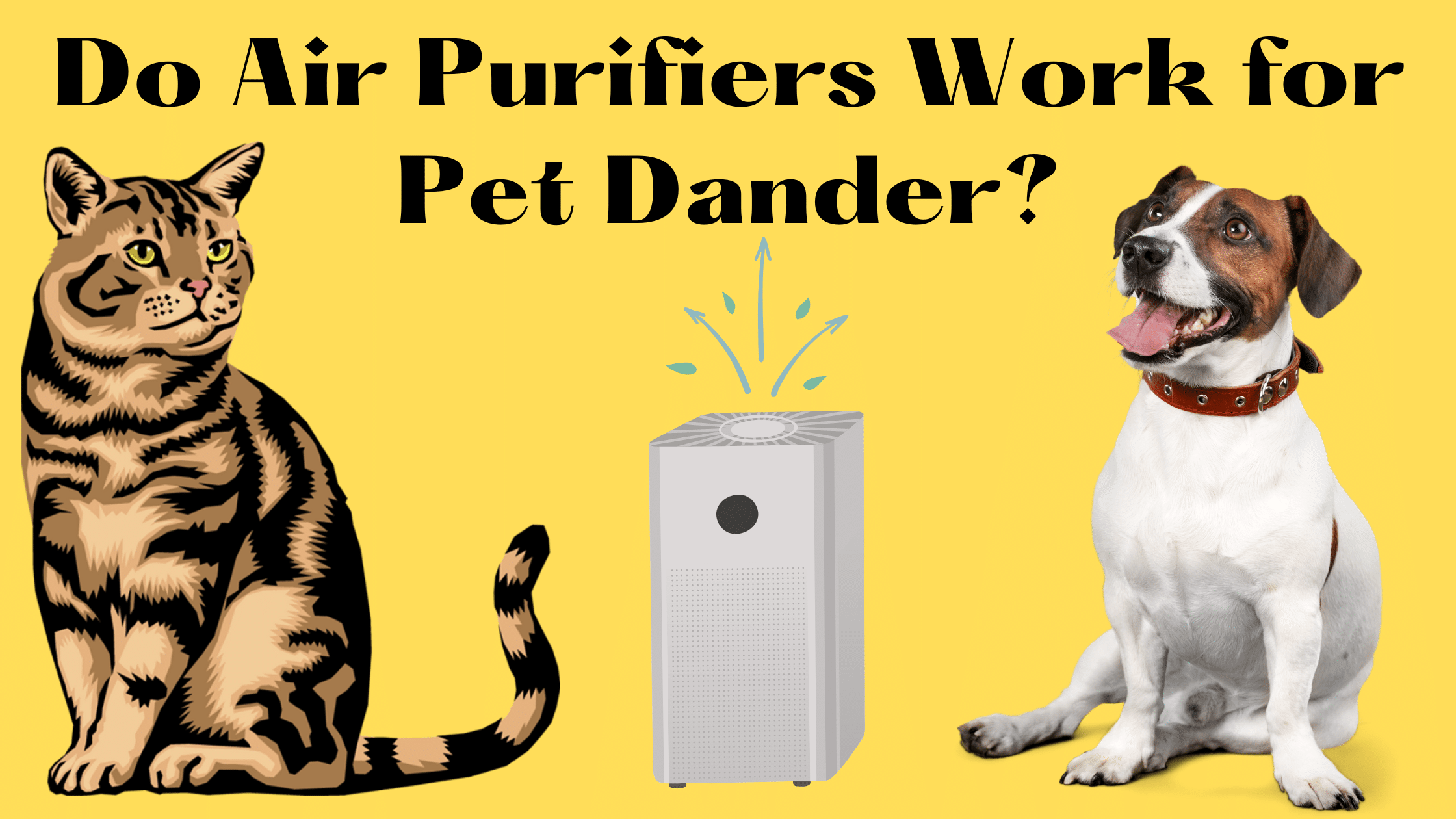 Do Air Purifiers Work for Pet Dander
