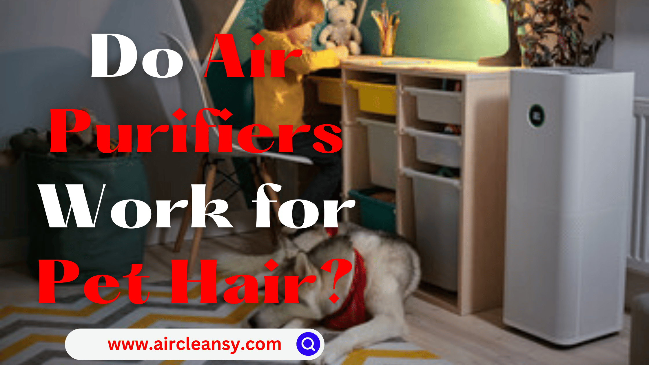Do Air Purifiers Work for Pet Hair
