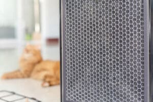 The Fact About Air Purifiers and Pet Hairs