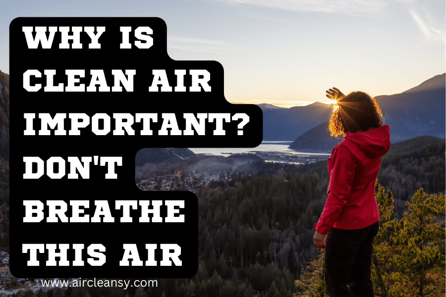 Why Is Clean Air Important? Don't Breathe This Air