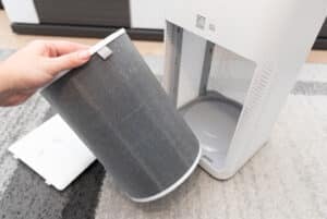 What Are The Drawbacks of Air Purifiers?