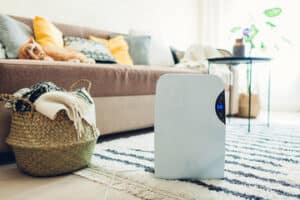 What Types of Allergens Can Air Purifiers Remove?